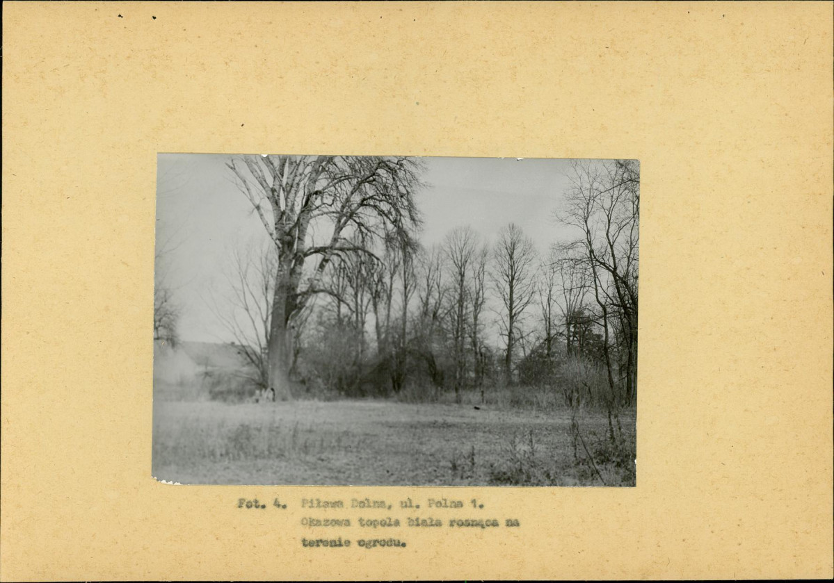 Ewidencja parkowa, skan nr 19