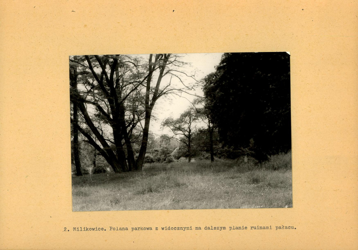 Ewidencja parkowa, skan nr 20