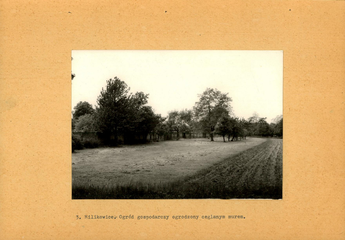 Ewidencja parkowa, skan nr 21