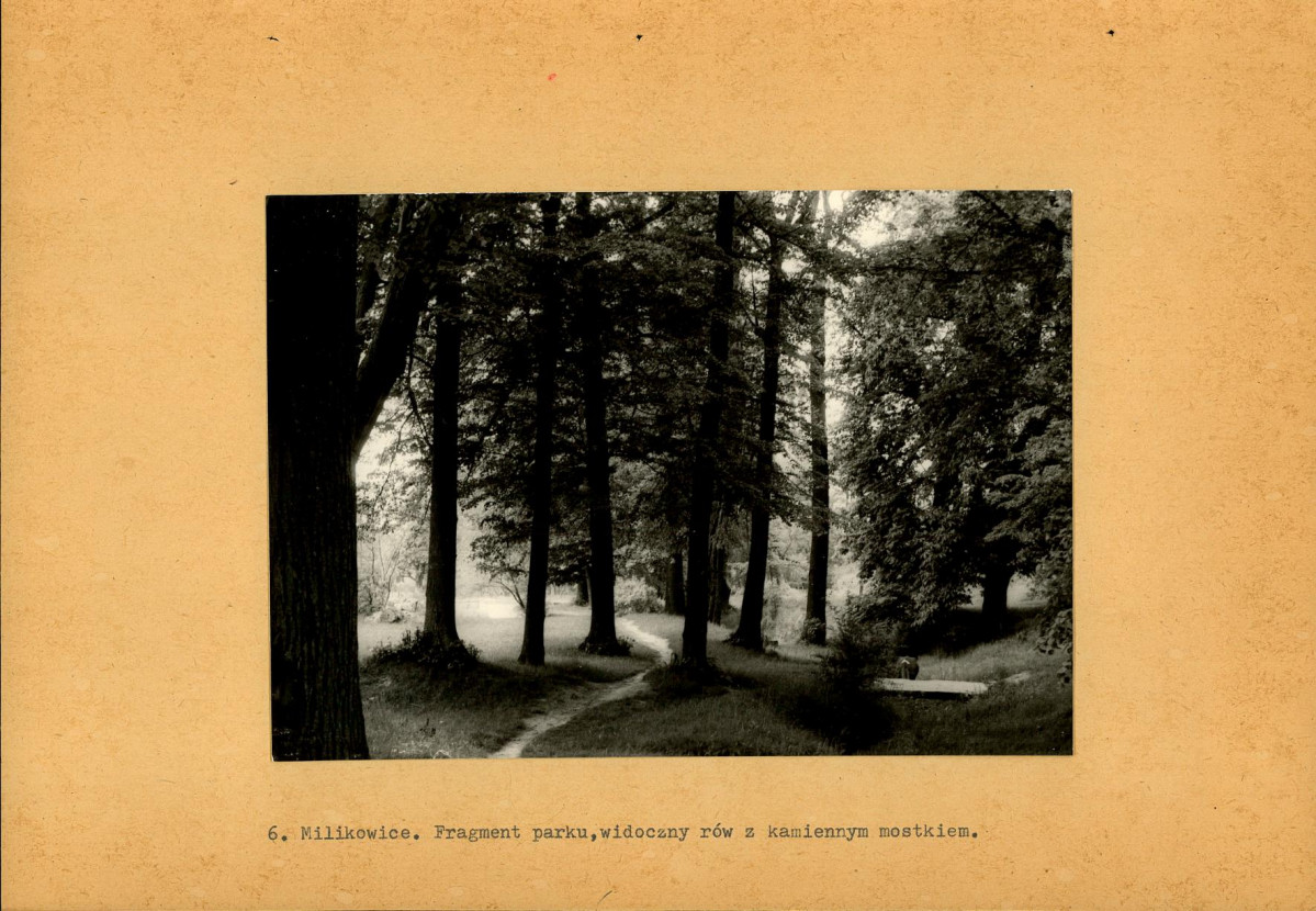 Ewidencja parkowa, skan nr 24