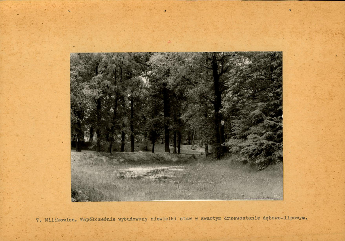 Ewidencja parkowa, skan nr 25