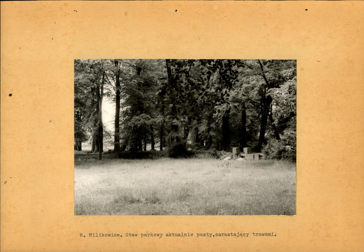 Ewidencja parkowa, skan nr 26