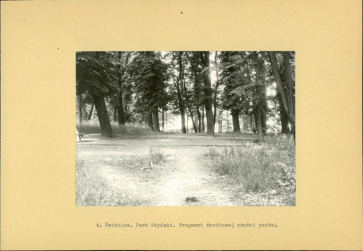 Ewidencja parkowa, skan nr 24