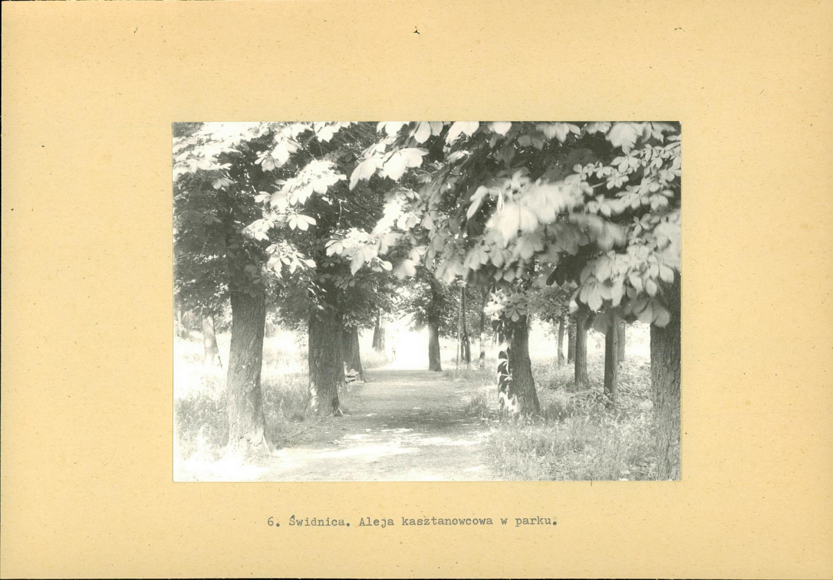 Ewidencja parkowa, skan nr 26