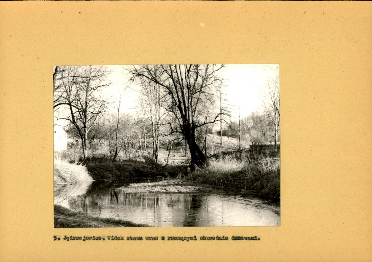 Ewidencja parkowa, skan nr 16