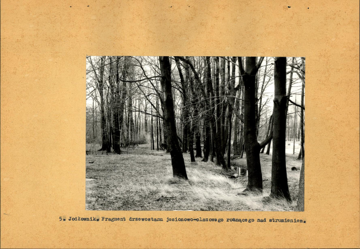 Ewidencja parkowa, skan nr 17