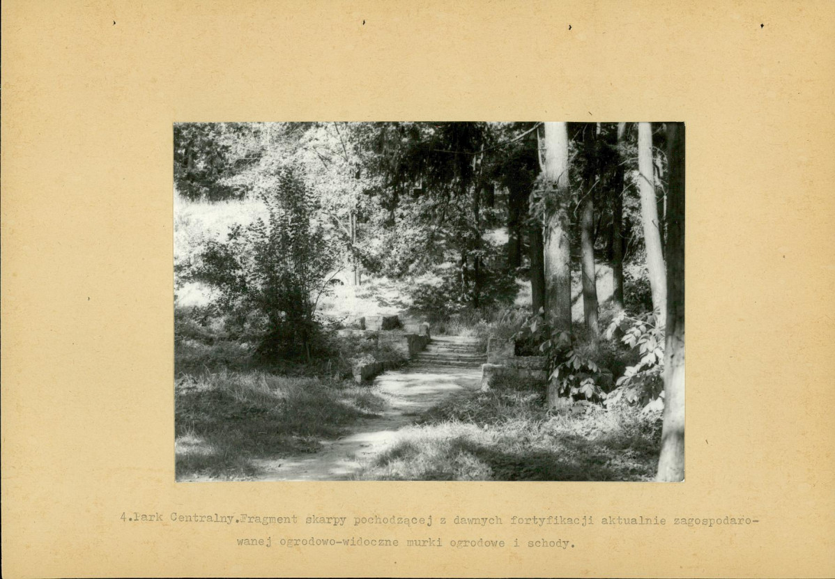 Ewidencja parkowa, skan nr 33