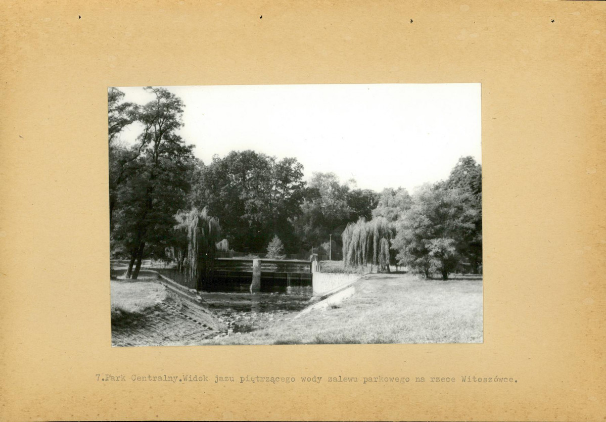 Ewidencja parkowa, skan nr 36