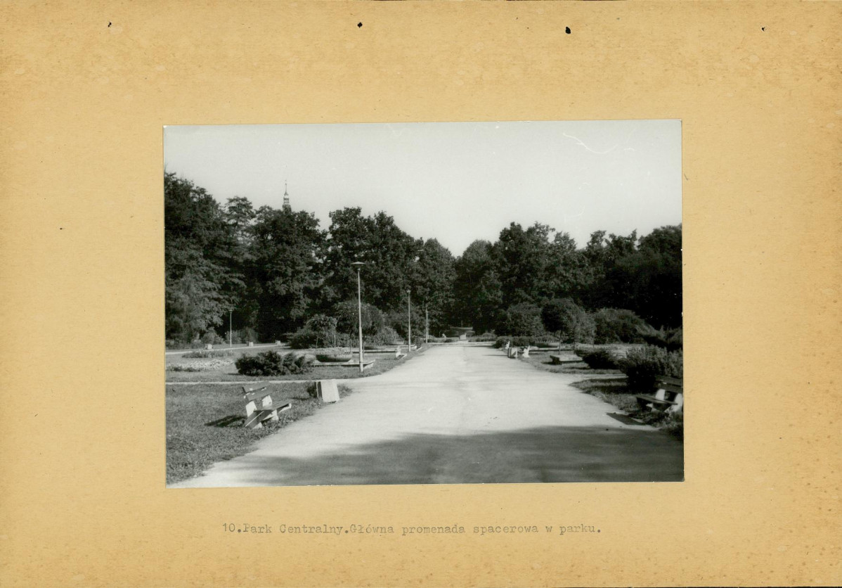 Ewidencja parkowa, skan nr 39