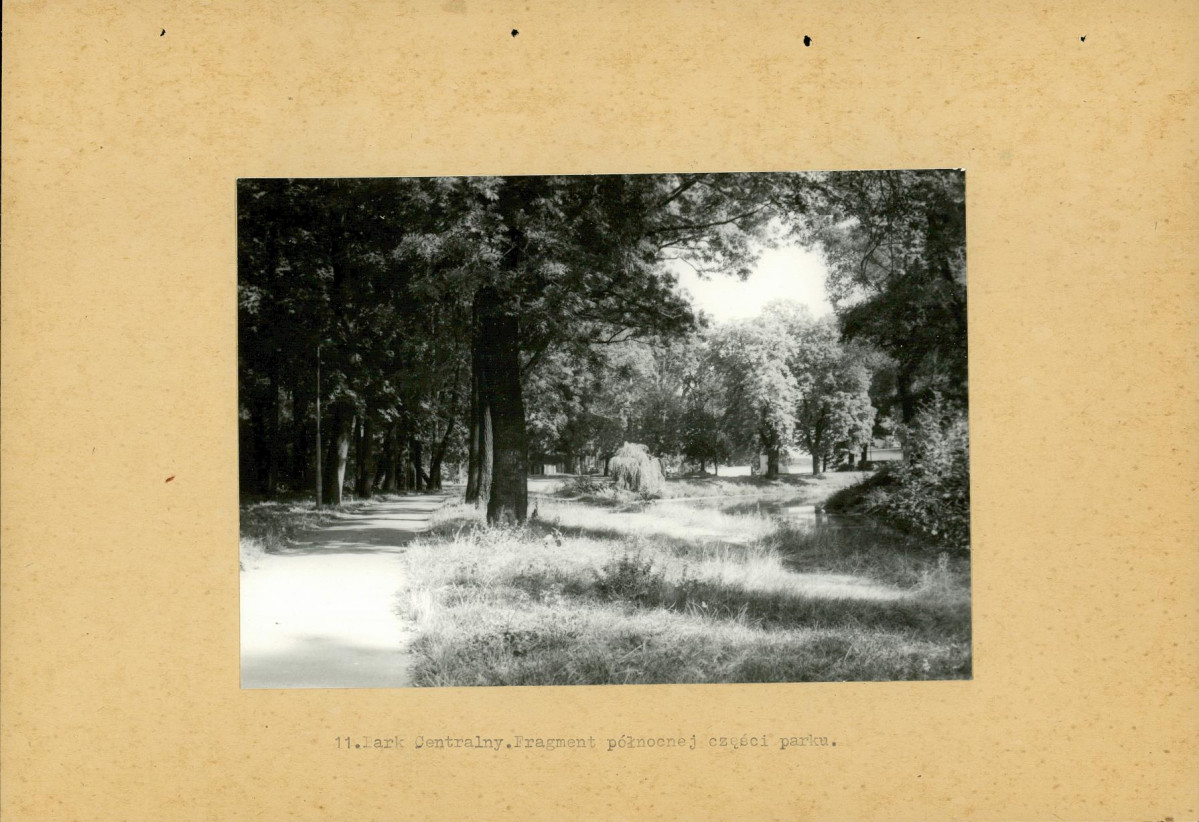 Ewidencja parkowa, skan nr 40