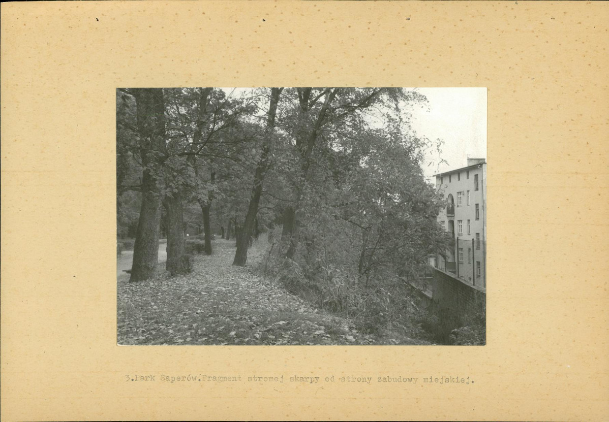 Ewidencja parkowa, skan nr 21