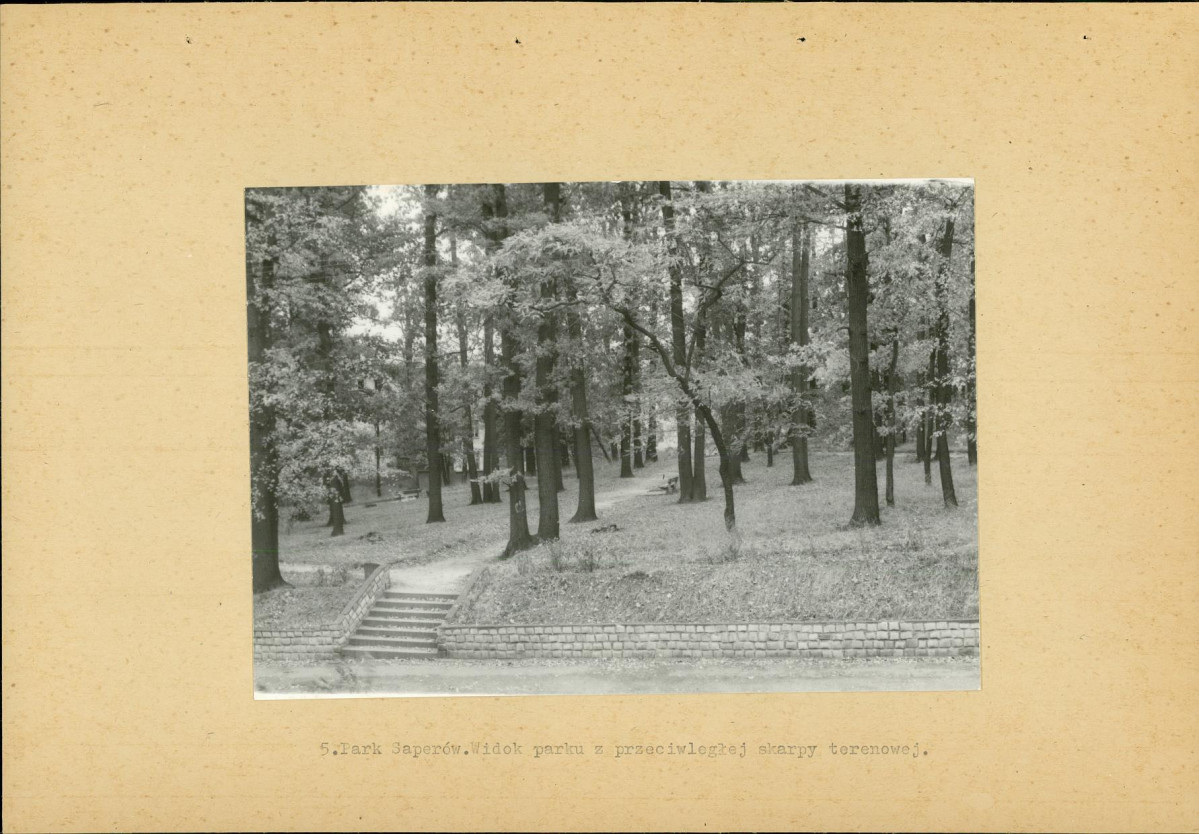 Ewidencja parkowa, skan nr 23