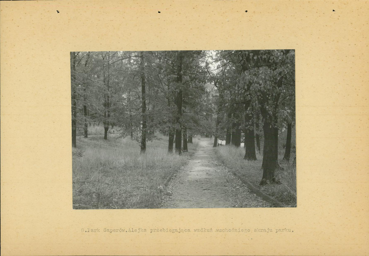 Ewidencja parkowa, skan nr 26