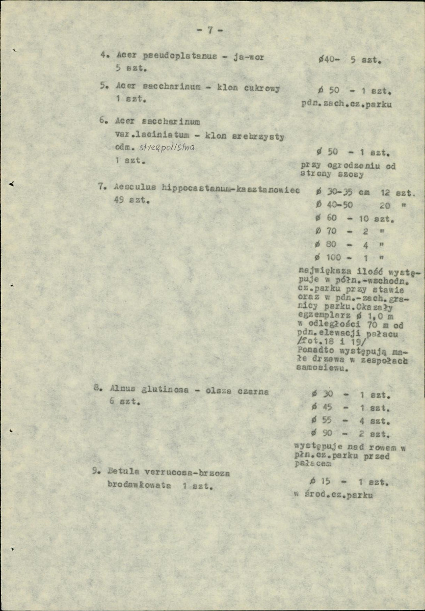 Ewidencja parkowa, skan nr 15