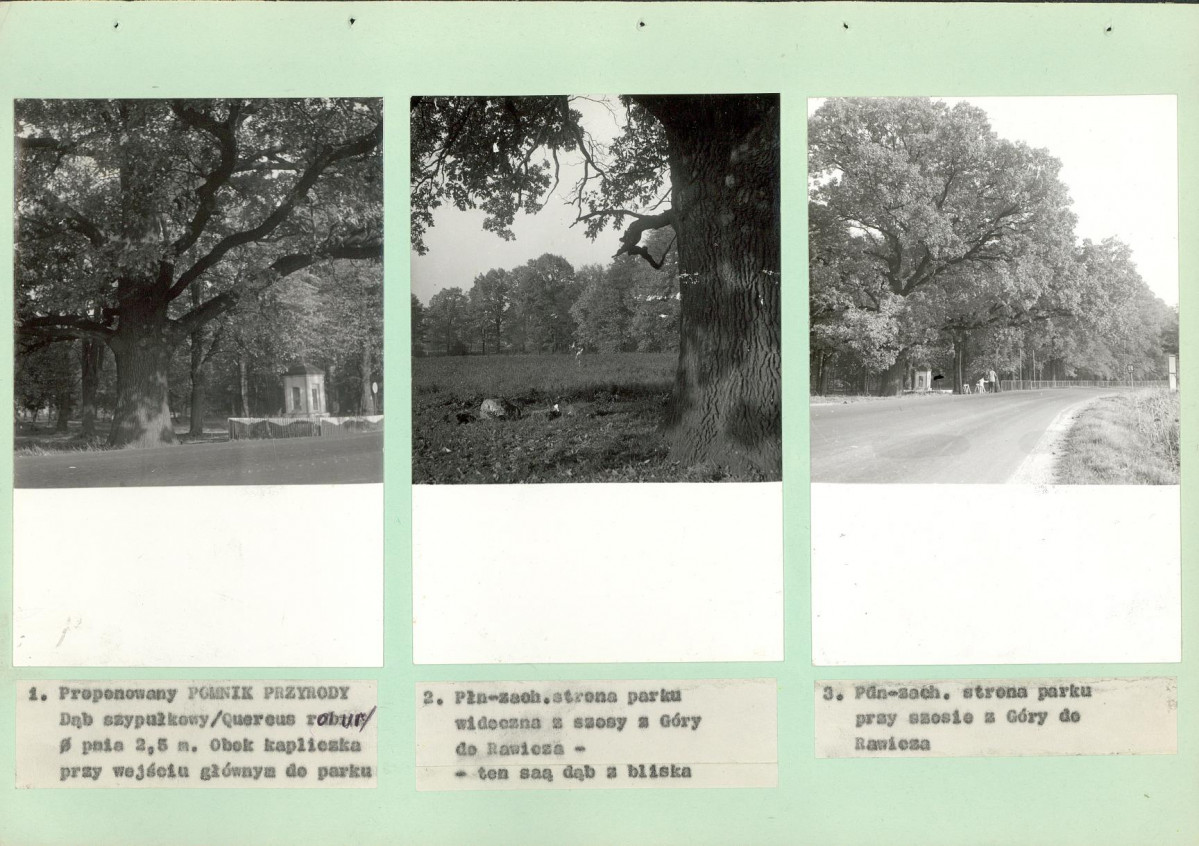 Ewidencja parkowa, skan nr 23