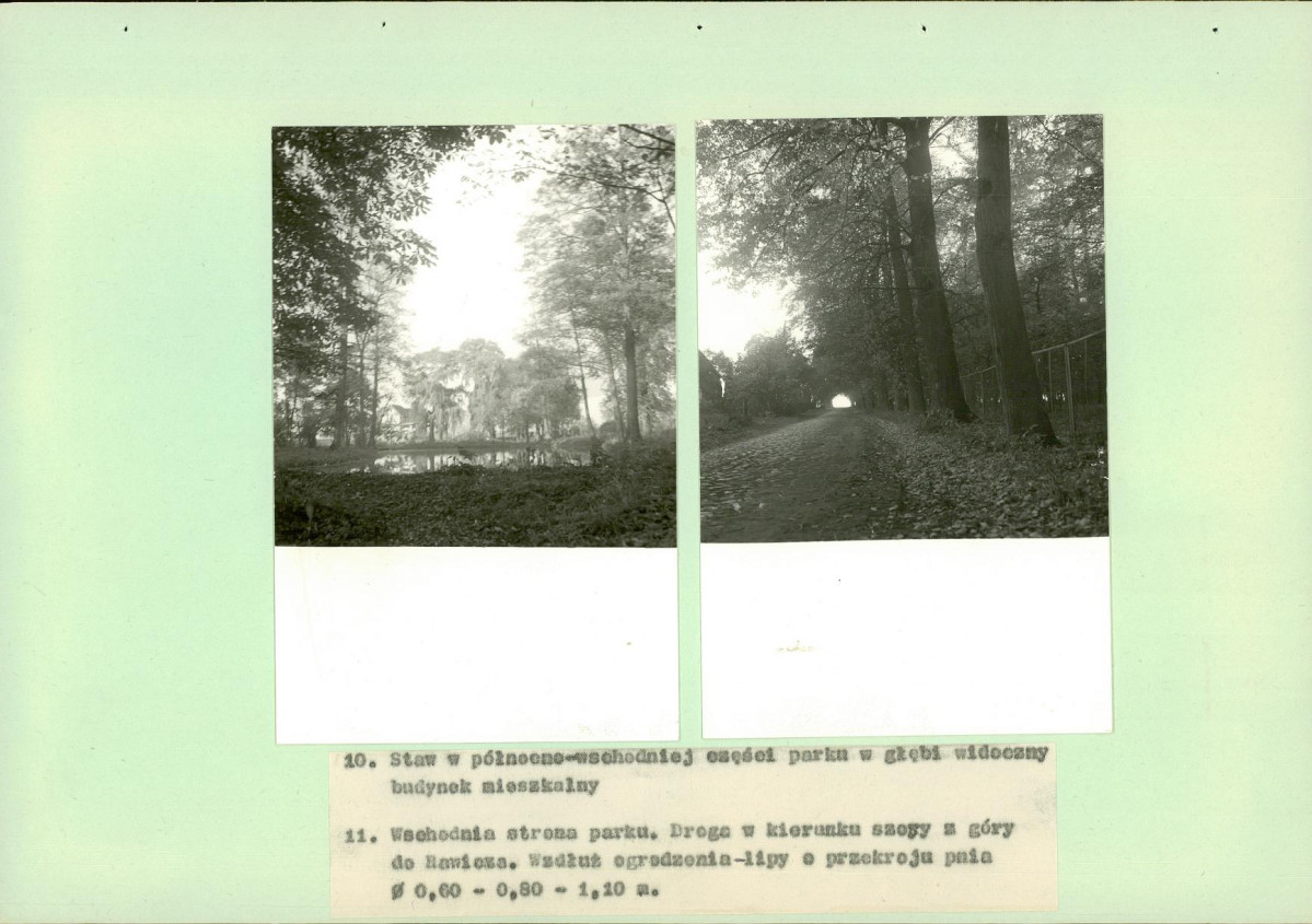Ewidencja parkowa, skan nr 26