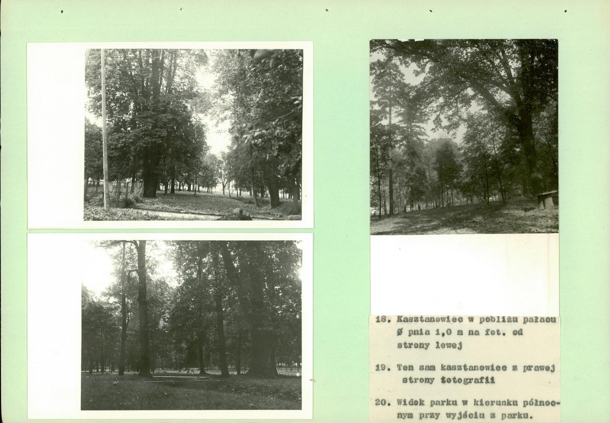 Ewidencja parkowa, skan nr 29