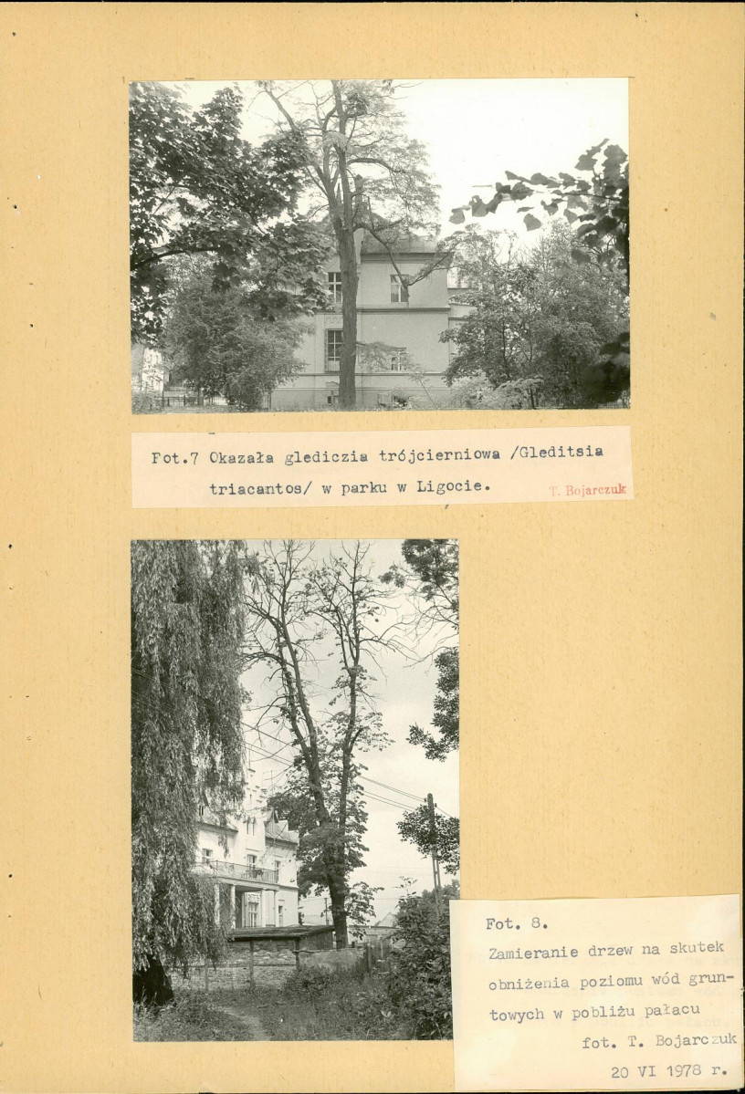 Ewidencja parkowa, skan nr 15
