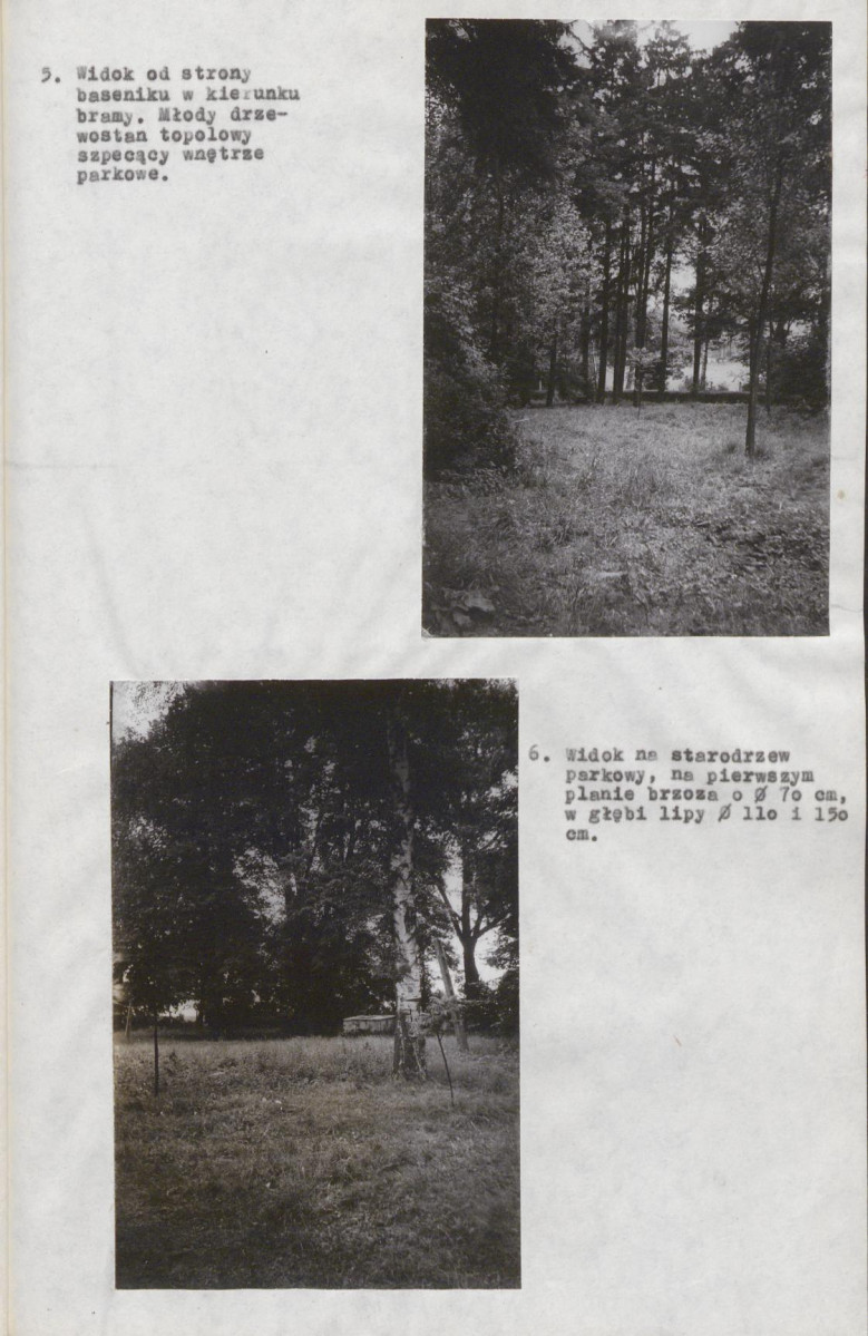 Ewidencja parkowa, skan nr 14