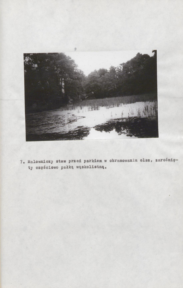 Ewidencja parkowa, skan nr 15