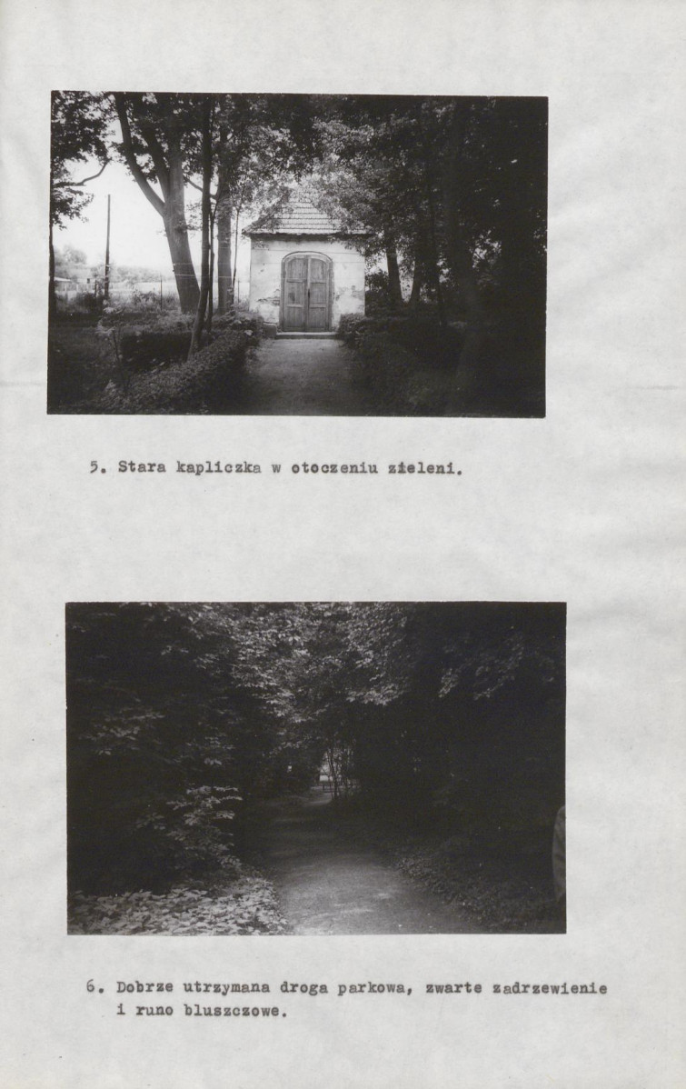 Ewidencja parkowa, skan nr 16