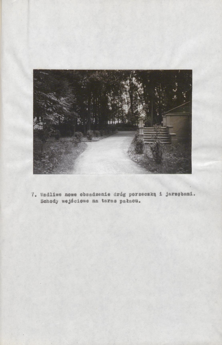 Ewidencja parkowa, skan nr 17