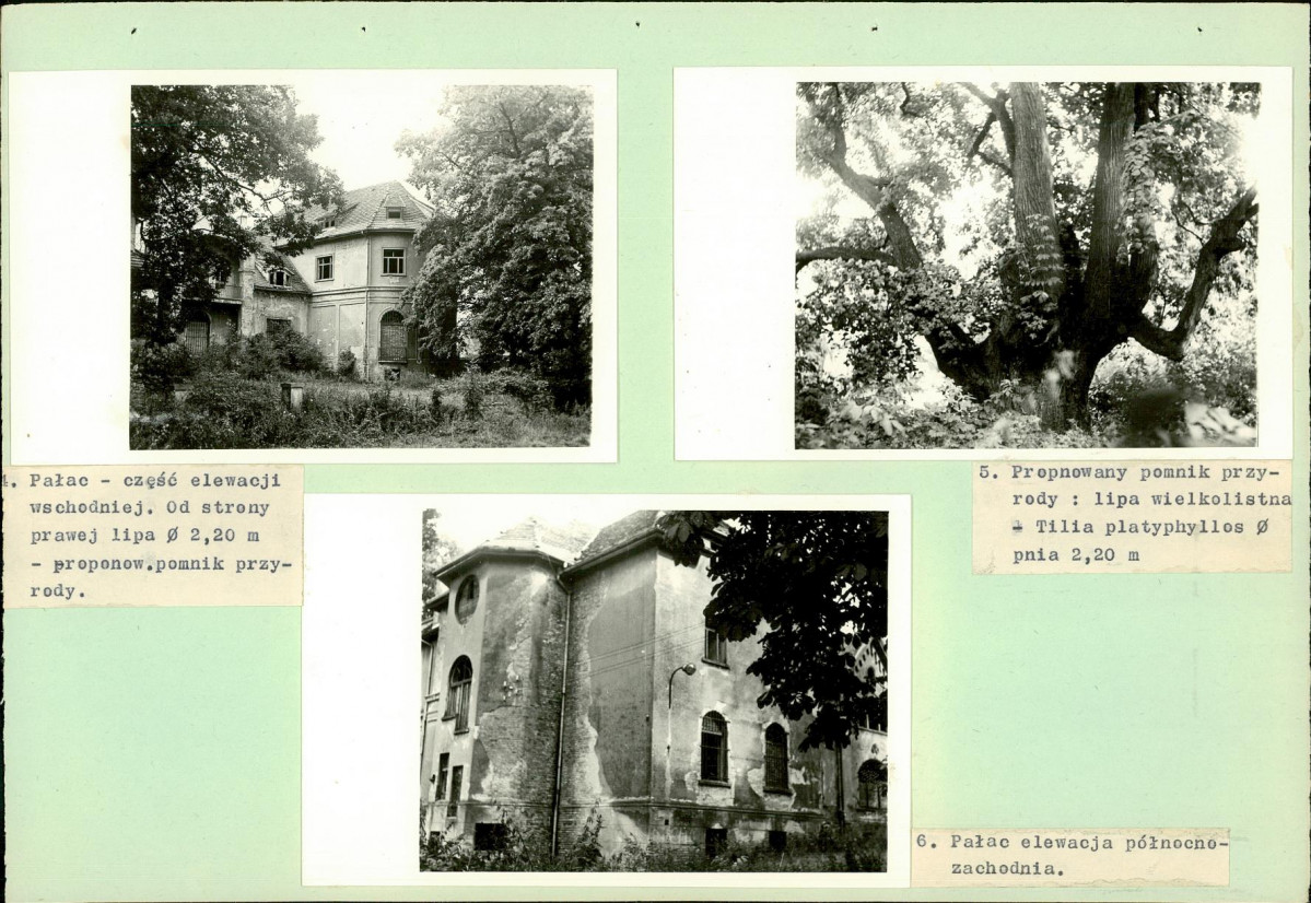 Ewidencja parkowa, skan nr 26