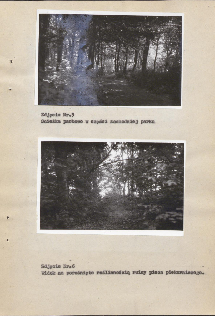 Ewidencja parkowa, skan nr 20