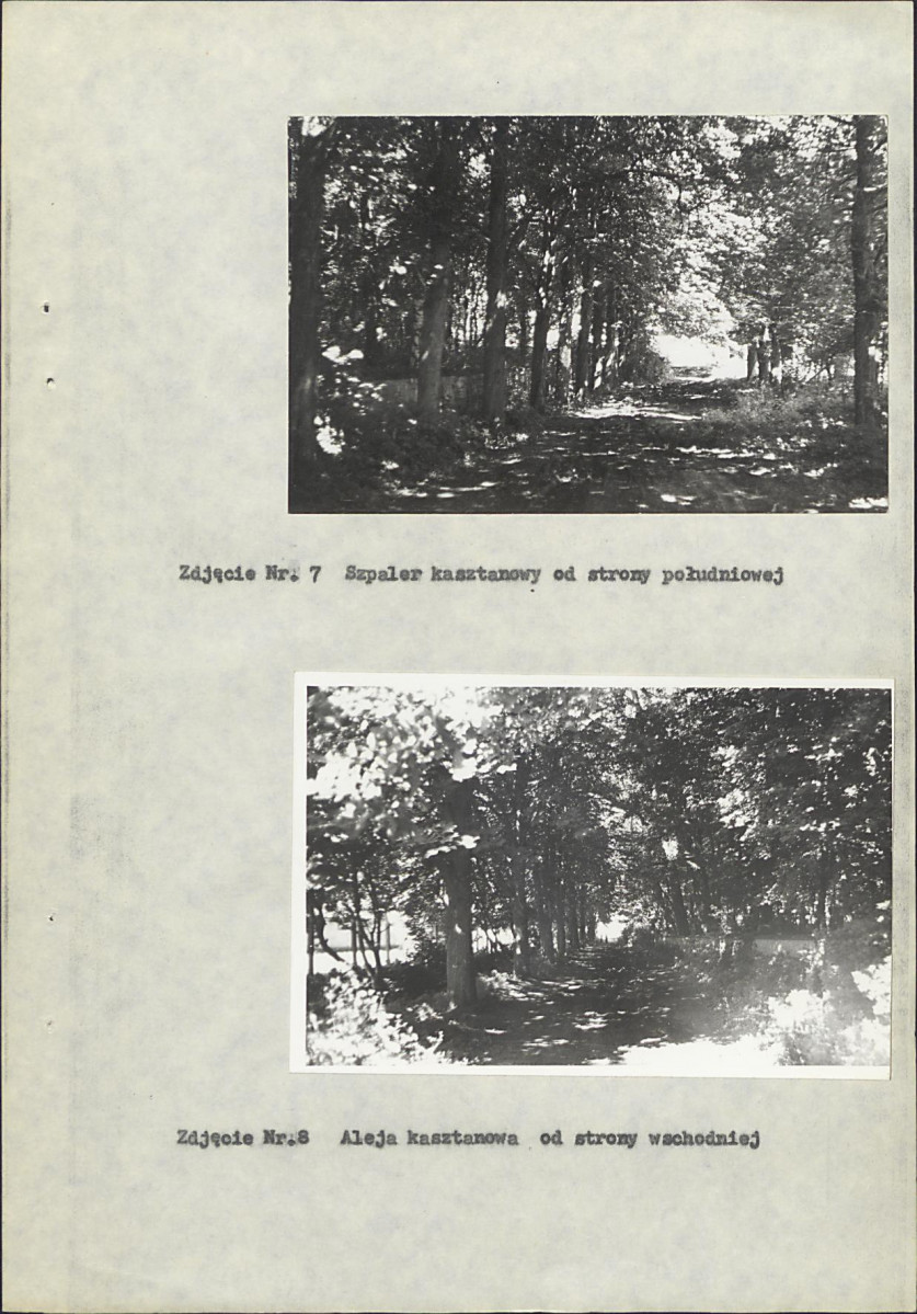 Ewidencja parkowa, skan nr 26