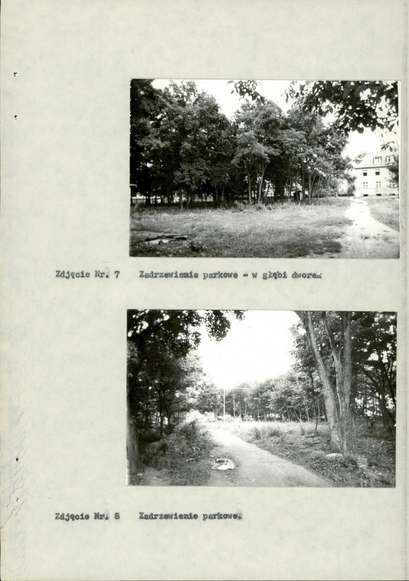 Ewidencja parkowa, skan nr 22