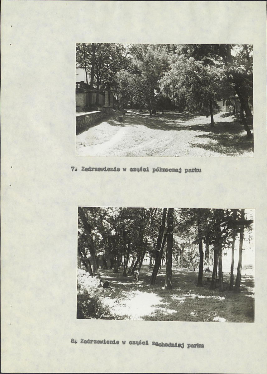 Ewidencja parkowa, skan nr 23