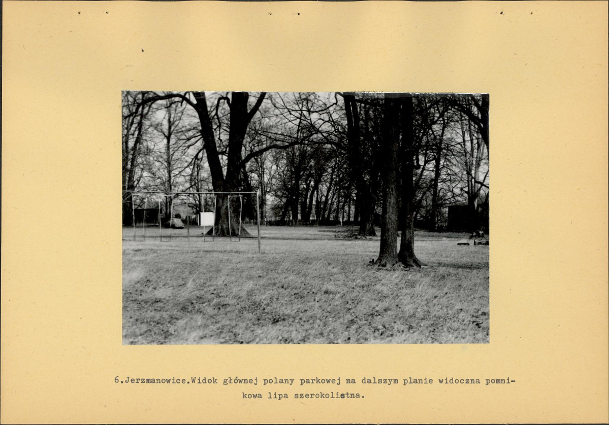 EP - Ewidencja parkowa, skan nr 24