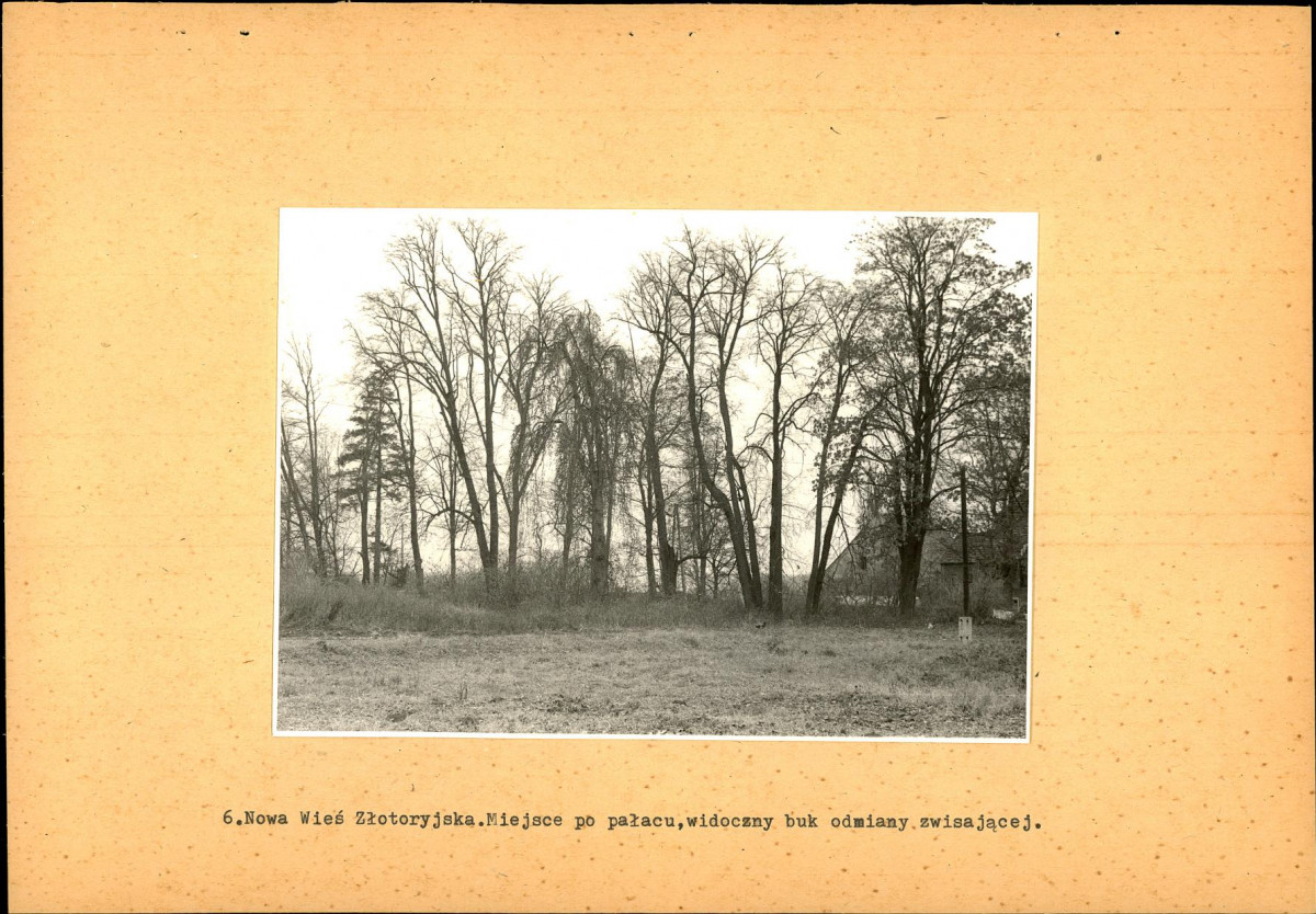 Ewidencja parkowa, skan nr 23