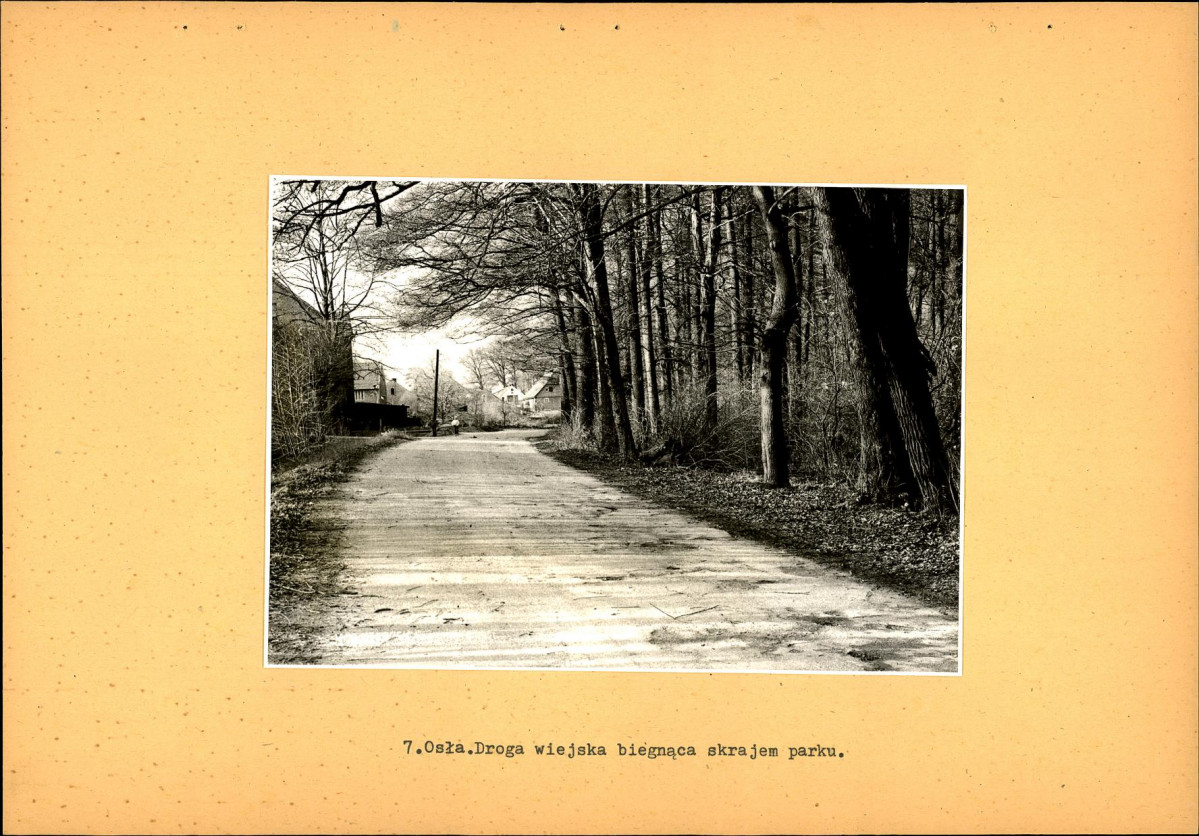 EP - Ewidencja parkowa, skan nr 26