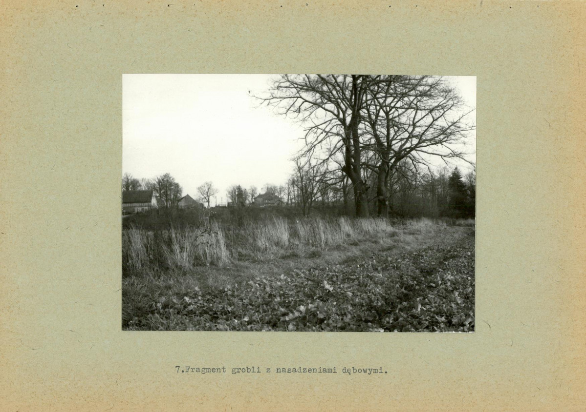 Ewidencja parkowa, skan nr 27