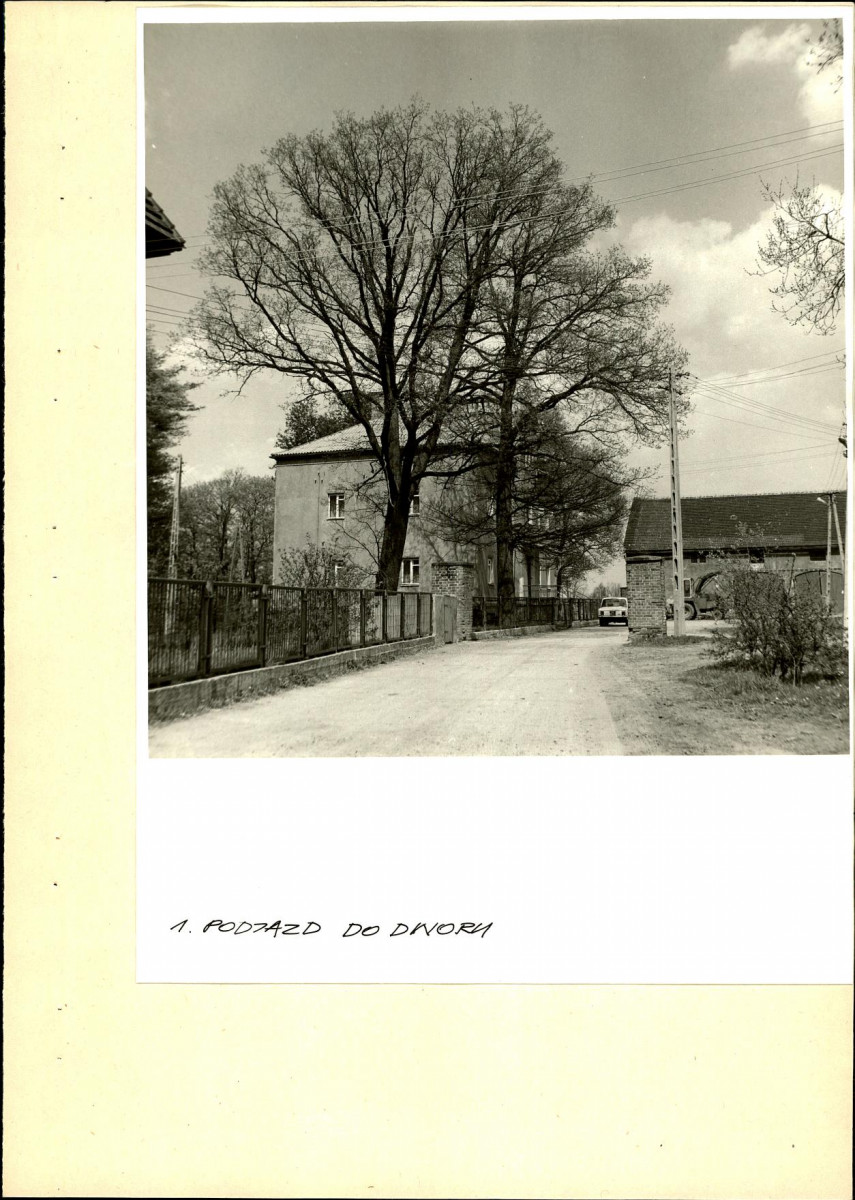 EP - Ewidencja parkowa, skan nr 11