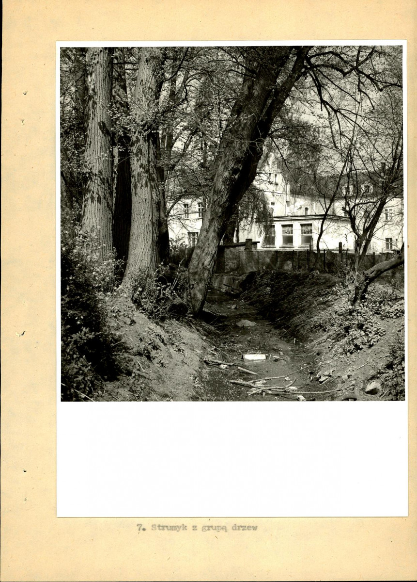 EP - Ewidencja parkowa, skan nr 22