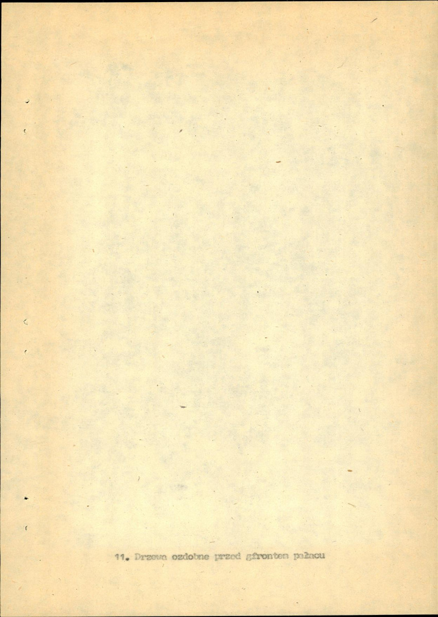 EP - Ewidencja parkowa, skan nr 26