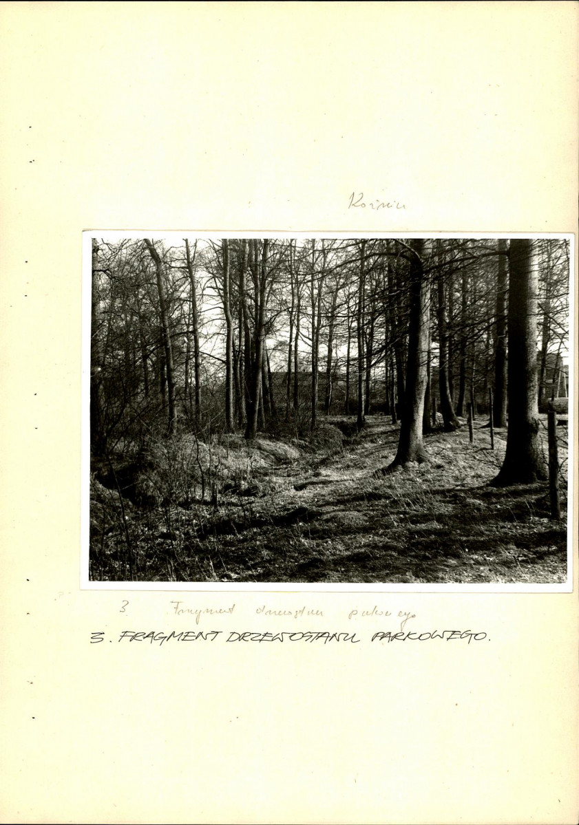 EP - Ewidencja parkowa, skan nr 16