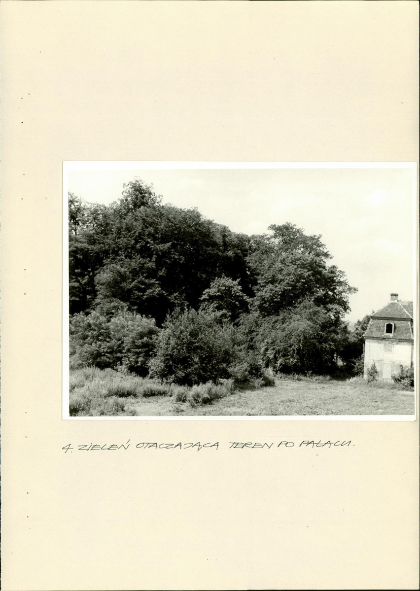 EP - Ewidencja parkowa, skan nr 20