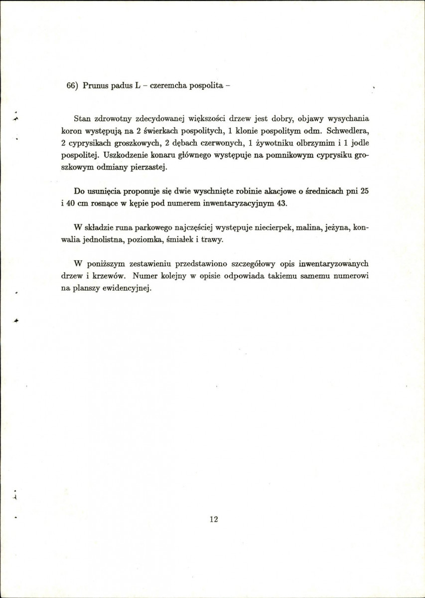 Ewidencja parkowa, skan nr 19