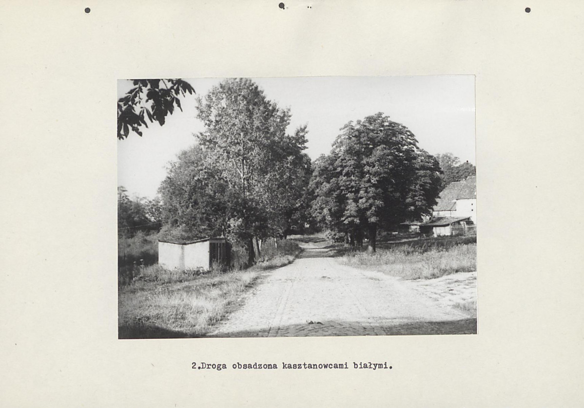 Ewidencja parkowa, skan nr 21