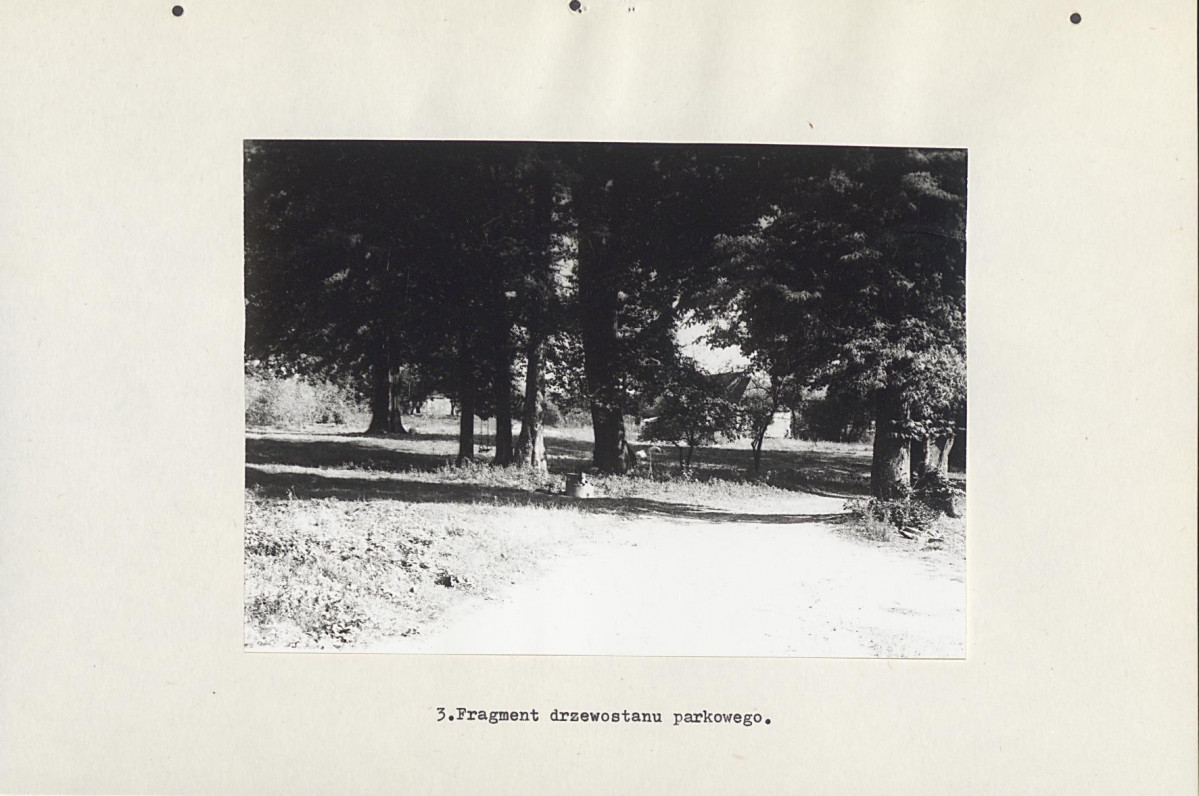 Ewidencja parkowa, skan nr 22