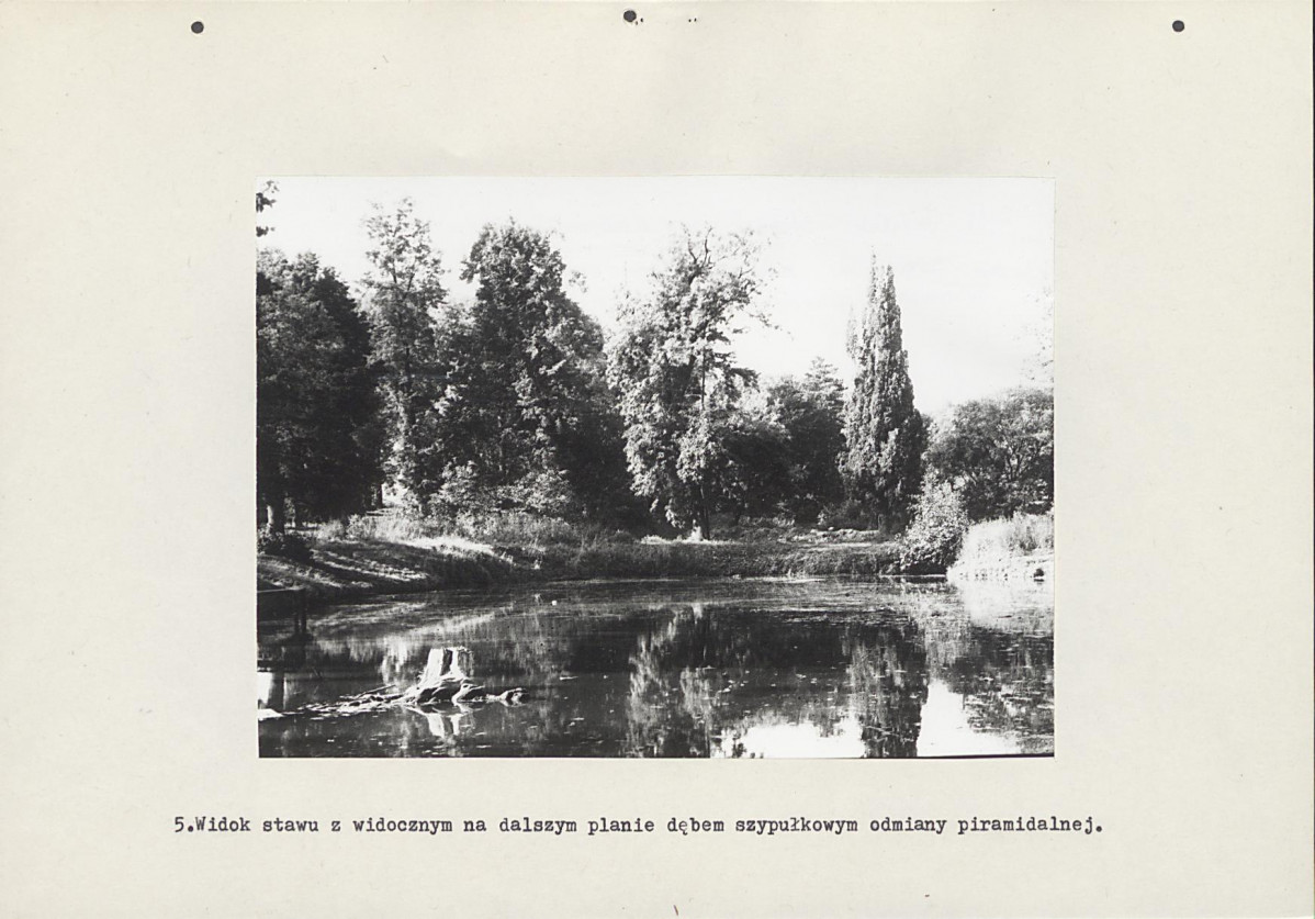 Ewidencja parkowa, skan nr 24