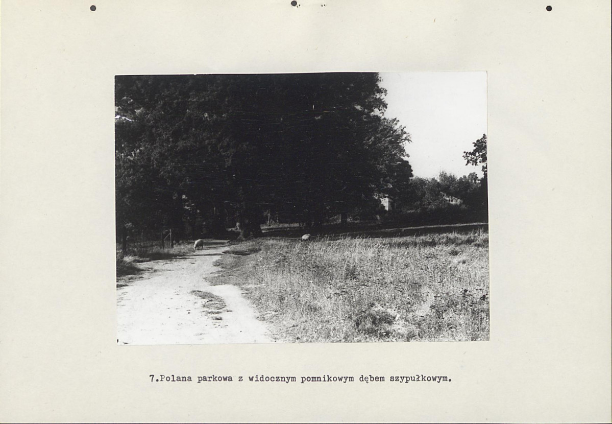Ewidencja parkowa, skan nr 26