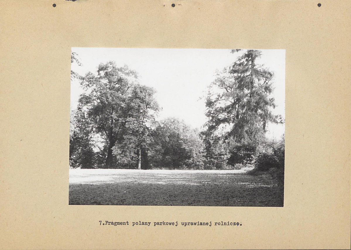 Ewidencja parkowa, skan nr 26