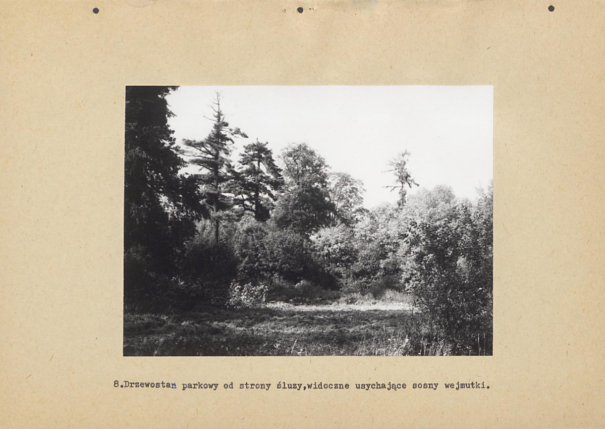 Ewidencja parkowa, skan nr 27