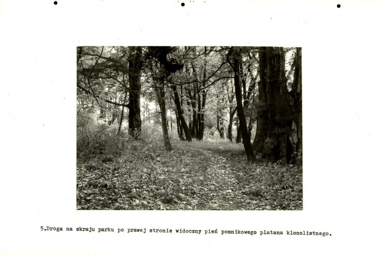 EP - Ewidencja parkowa, skan nr 22