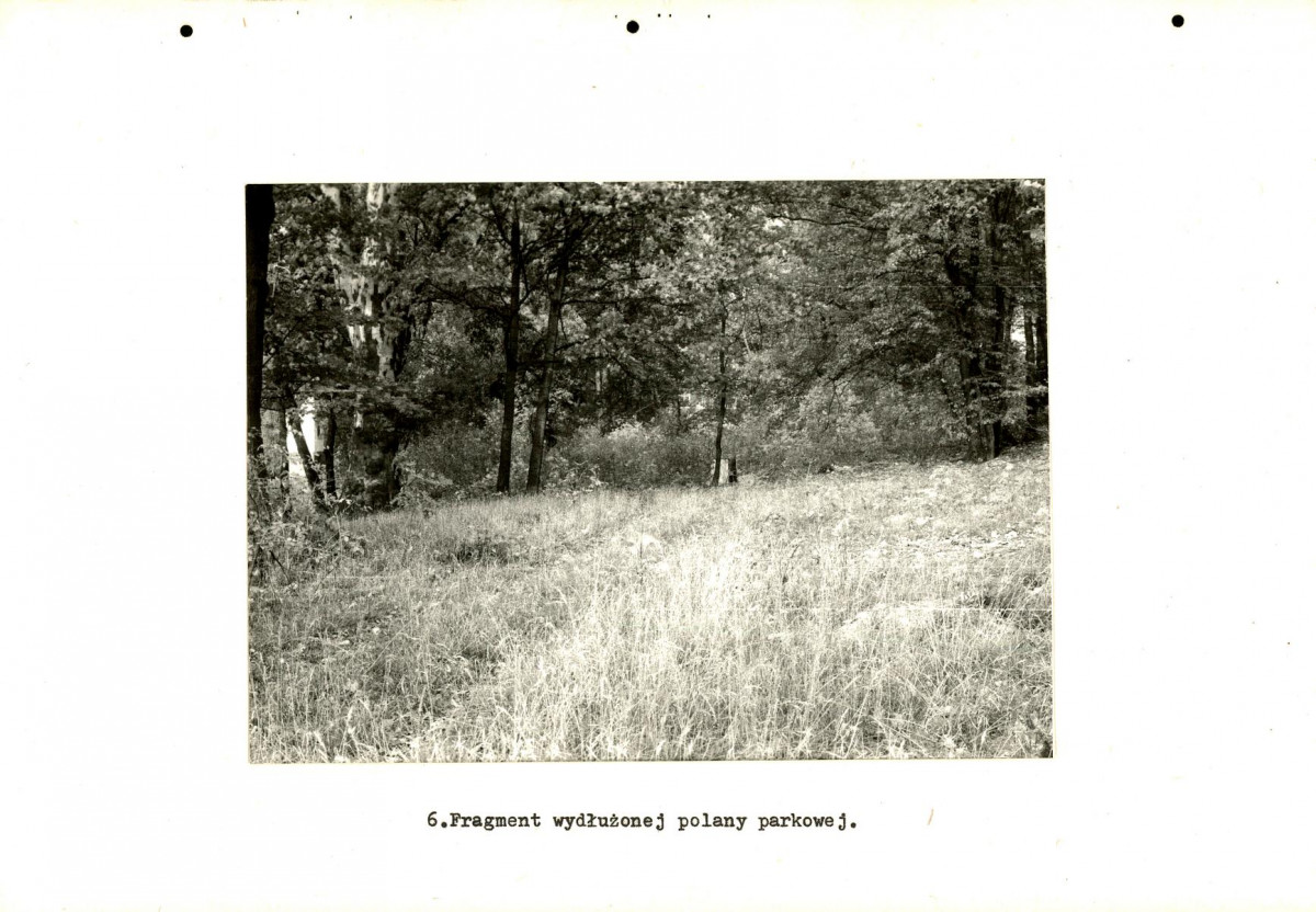 EP - Ewidencja parkowa, skan nr 23