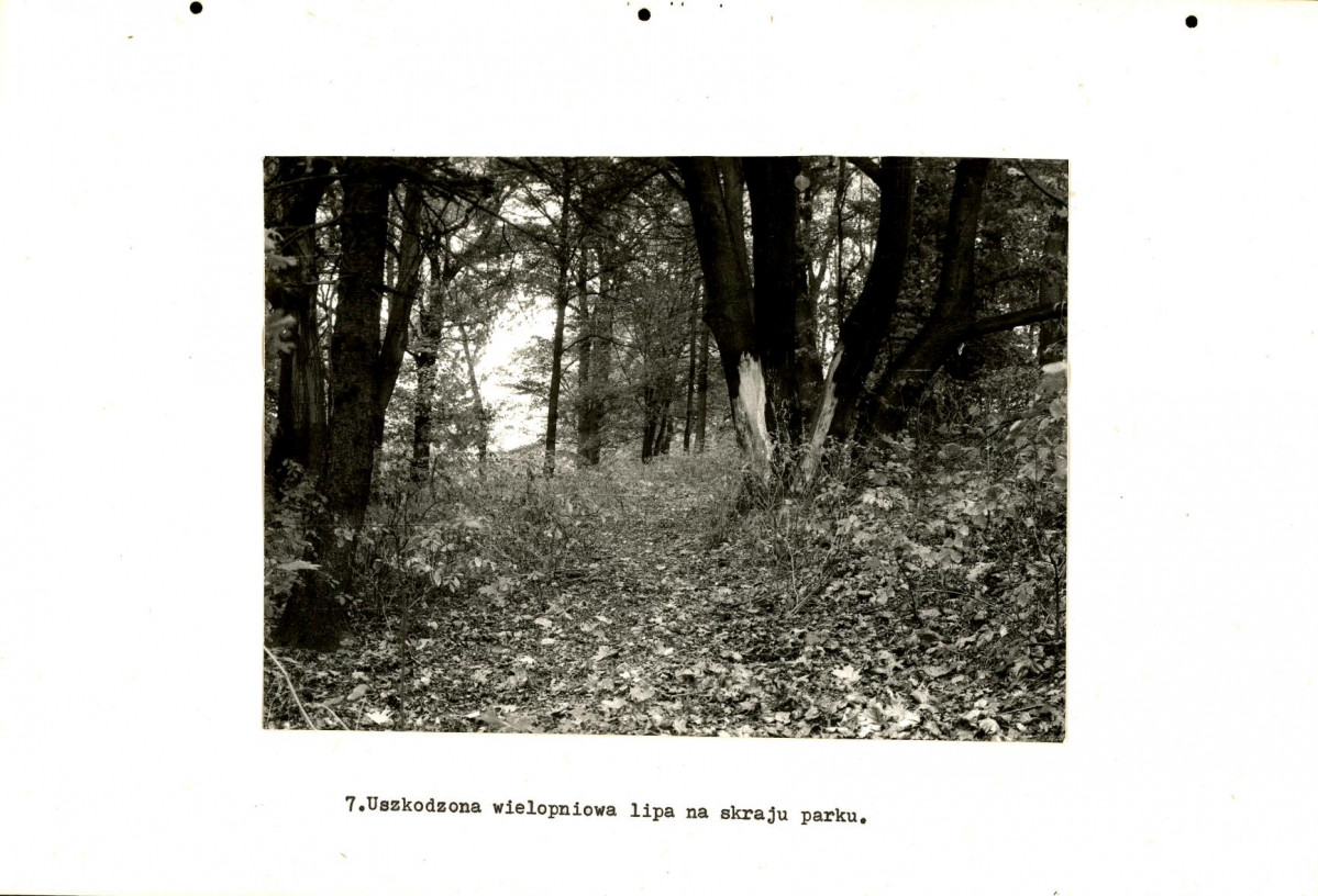 EP - Ewidencja parkowa, skan nr 24